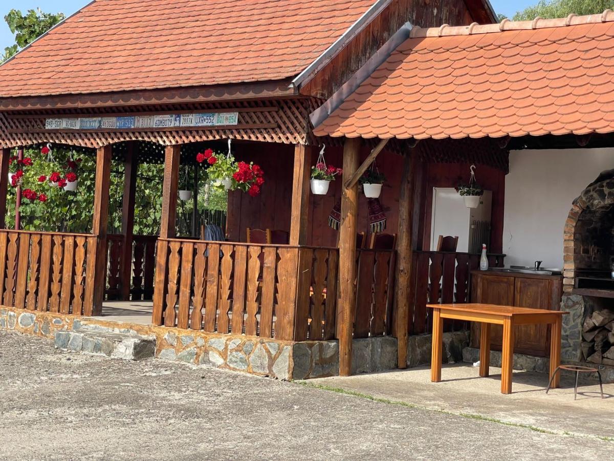 Pensiunea Ducu Scoreiu Exterior photo